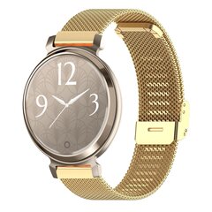 Milanese bandje met klemsluiting - Goud - Garmin Lily 2