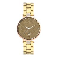 Stalen schakelband - Goud - Garmin Lily